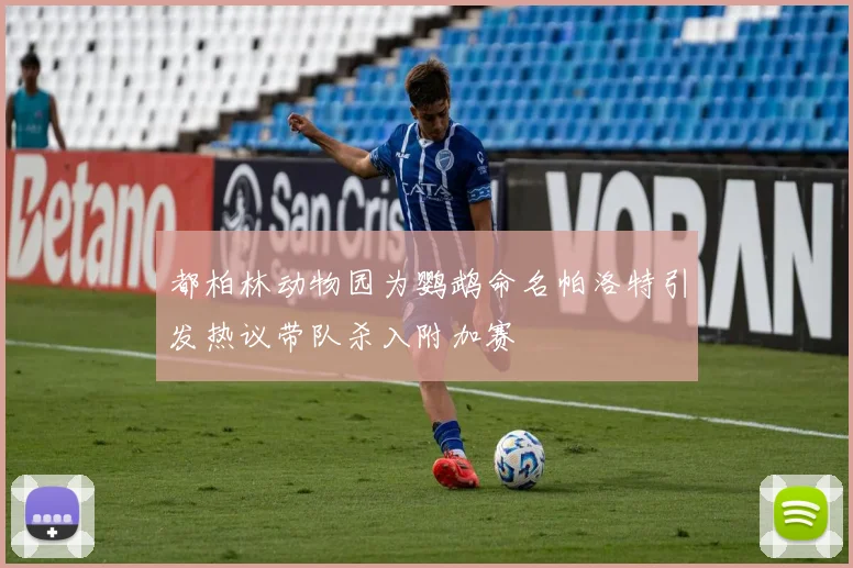 都柏林动物园为鹦鹉命名帕洛特引发热议带队杀入附加赛