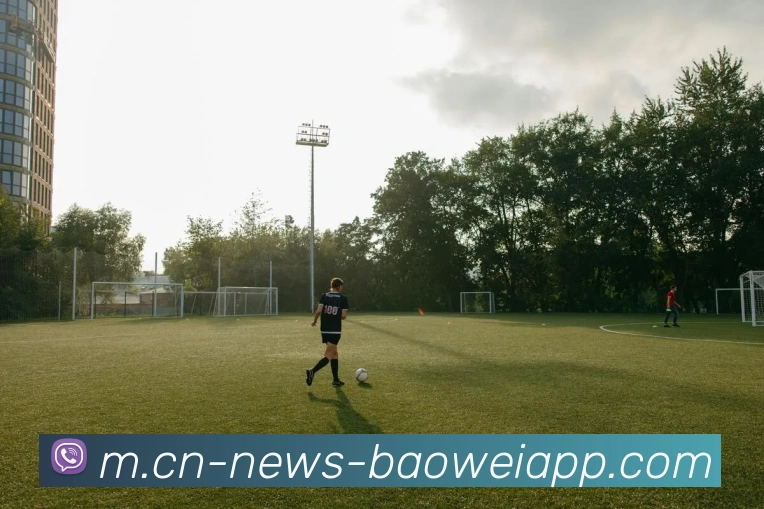 App Interface Preview