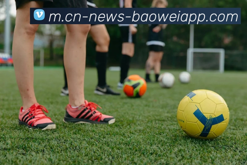 宝威体育APP 封面图